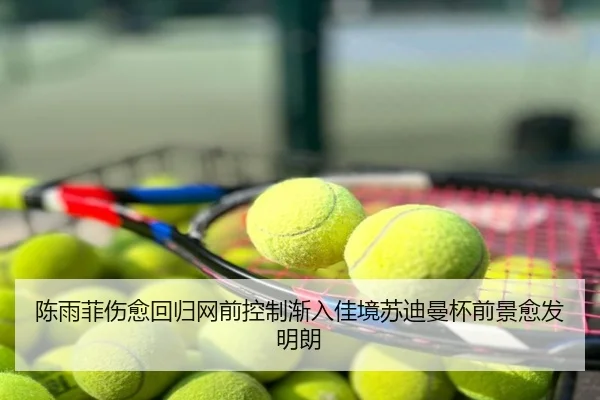 陈雨菲伤愈回归网前控制渐入佳境苏迪曼杯前景愈发明朗