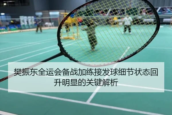 樊振东全运会备战加练接发球细节状态回升明显的关键解析
